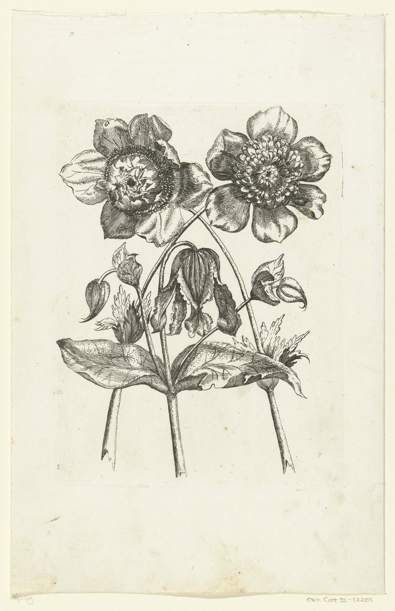 Tre blommor Nya blomikoner (serietitel) av Anonymous