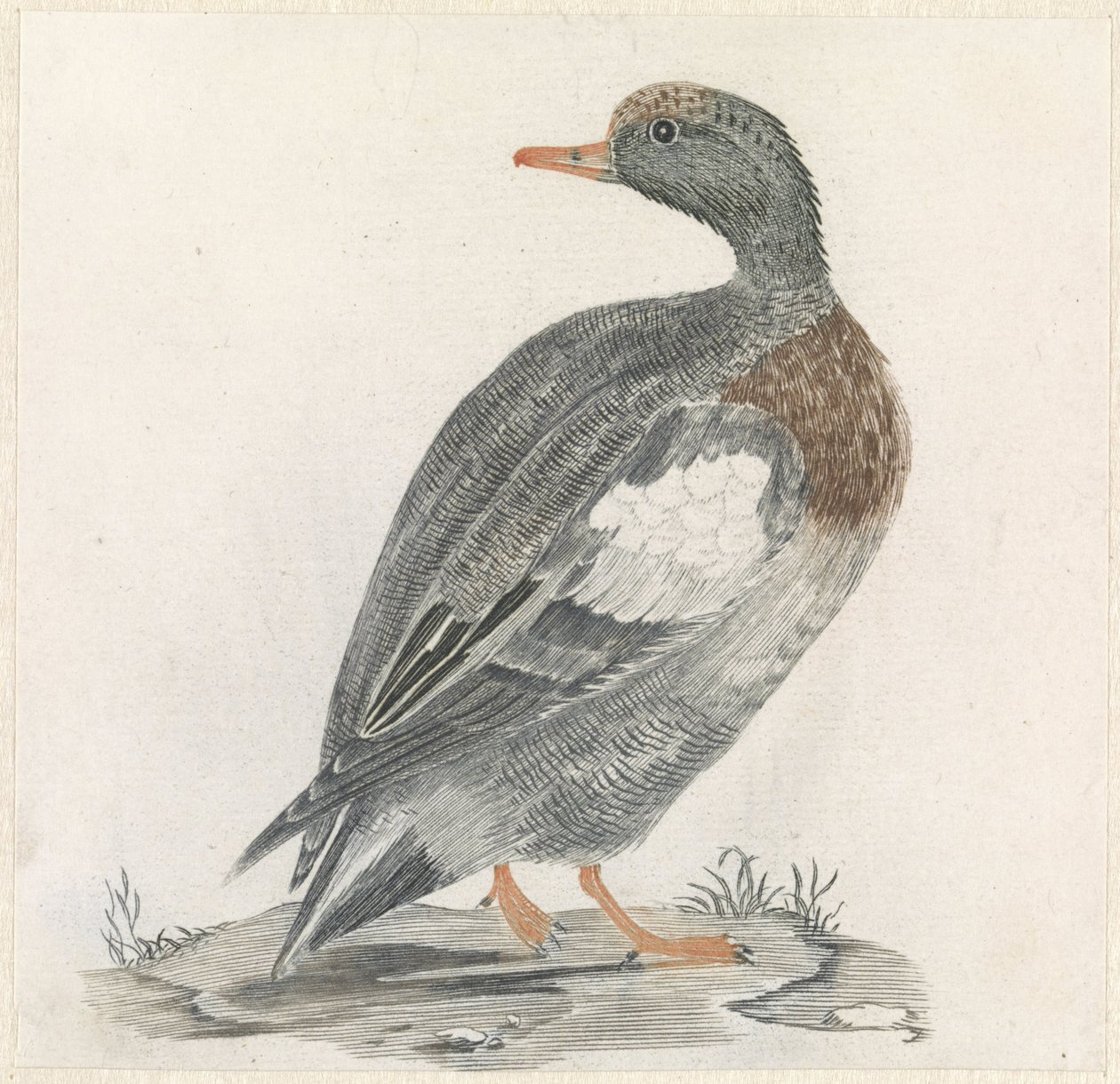Ducka till höger, titta åt vänster av Anonymous