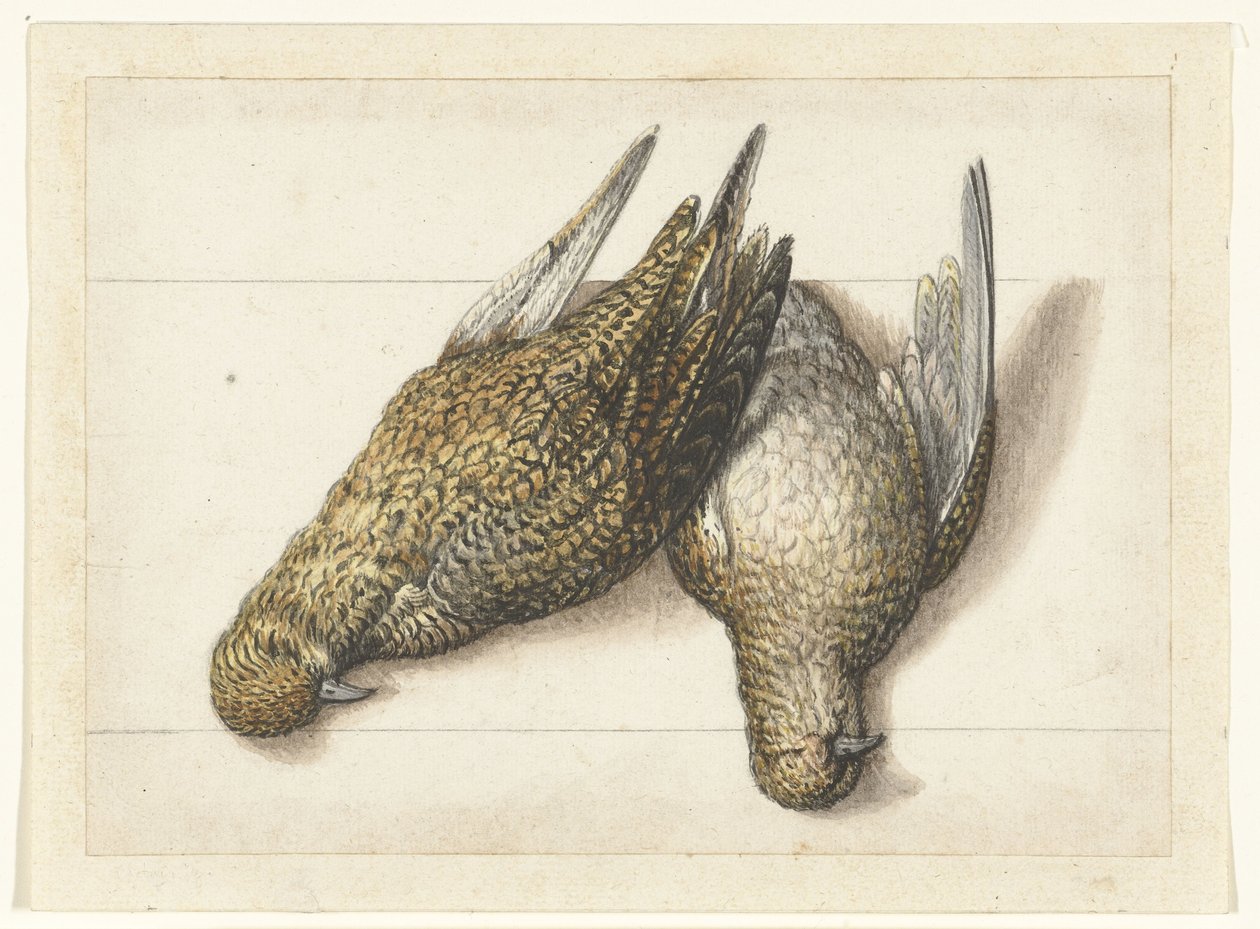 Goudplevier Lombard album (serietitel) av Anonymous
