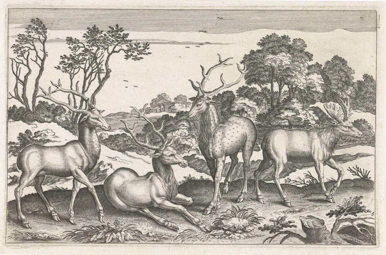 rådjur Fyrbenta djur (serietitel) Animalivm Qvaddrvpedvm (serietitel) av Anonymous