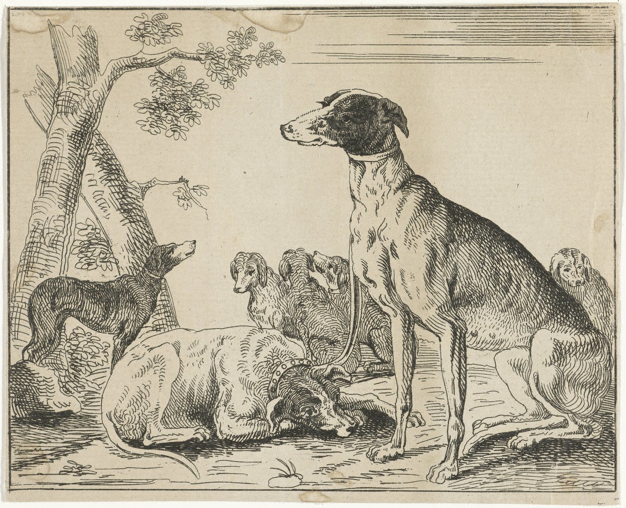 hundkoja av Anonymous