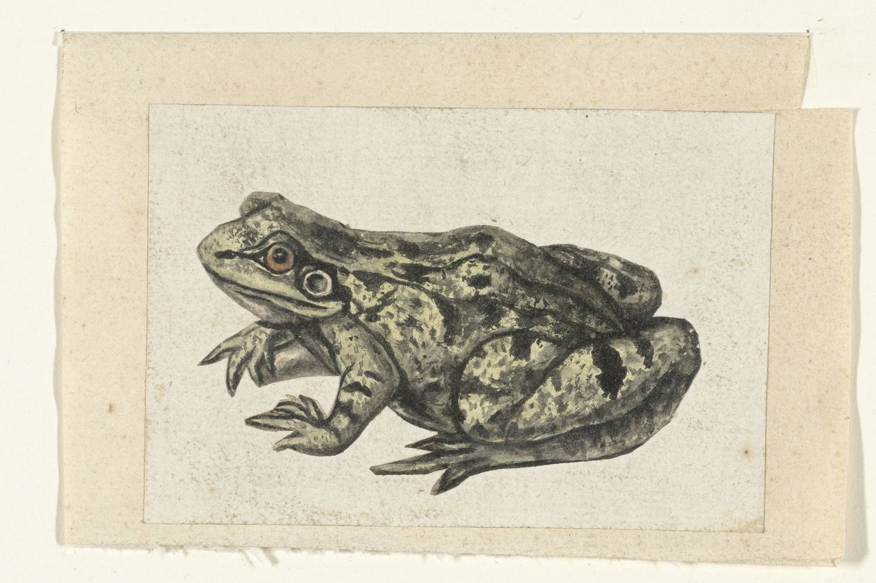 Blickar Lombard album (serietitel) av Anonymous