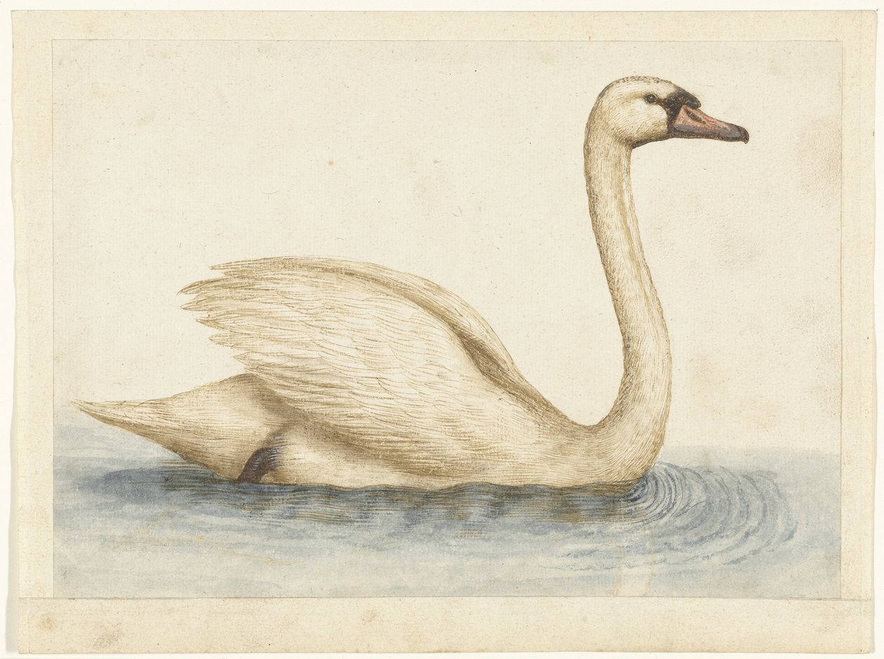 stumsvan Lombard album (serietitel) av Anonymous