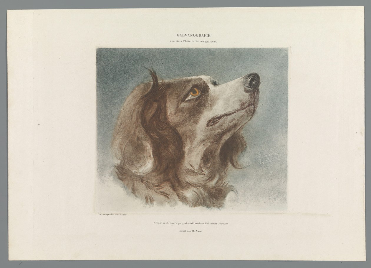 Huvudet på en hund av Anonymous