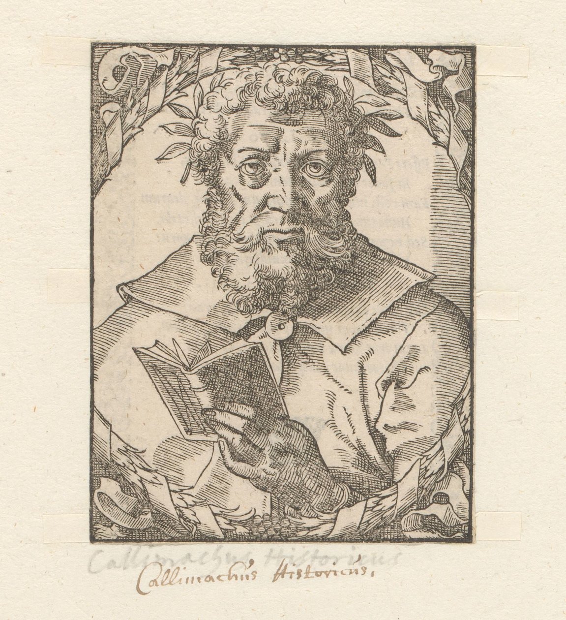 Porträtt van Callimachus av Anonymous