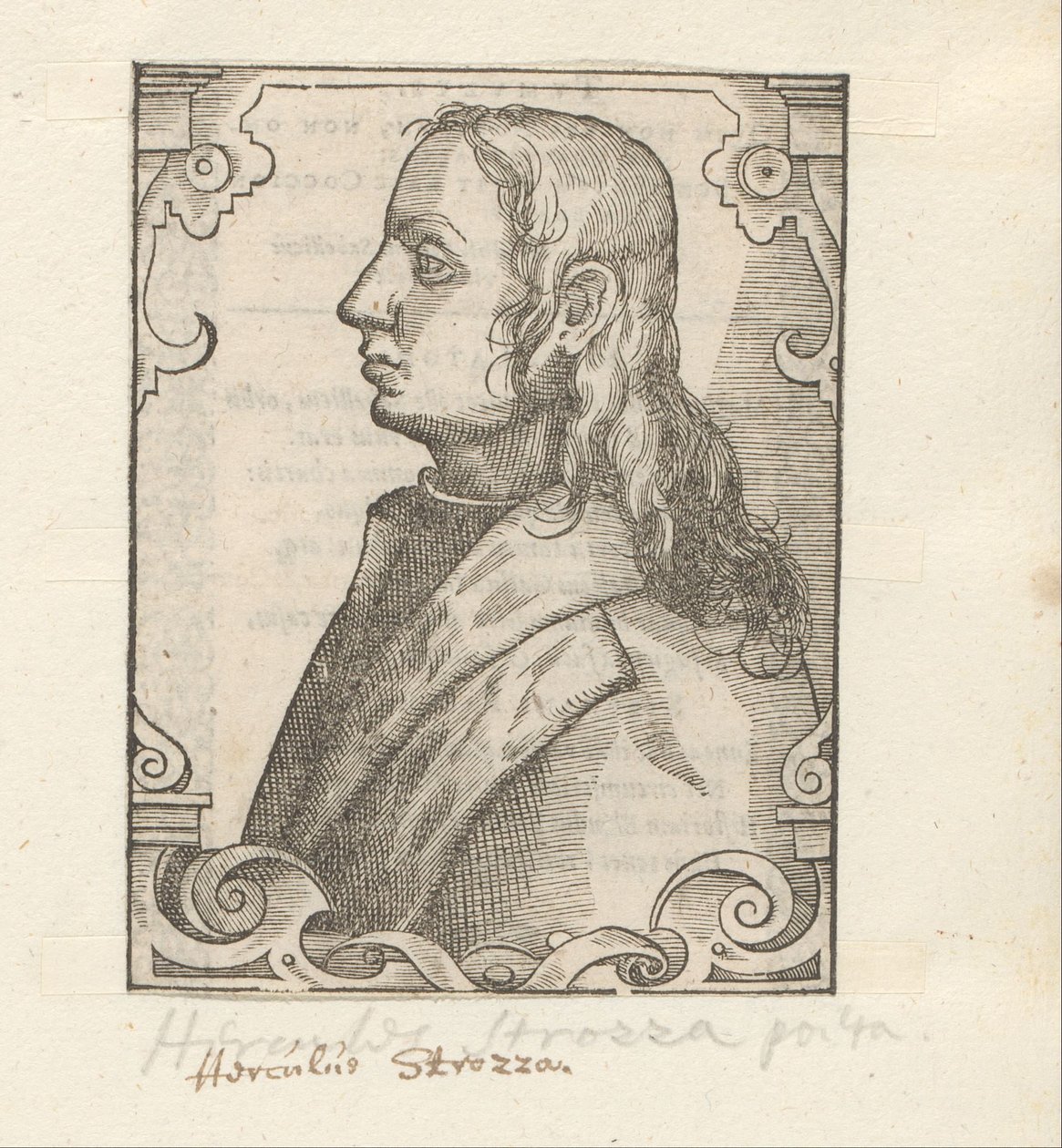 Porträtt av Ercole Strozzi av Anonymous
