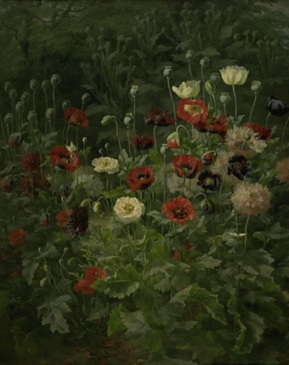 Vallmo av Anthonie Christensen