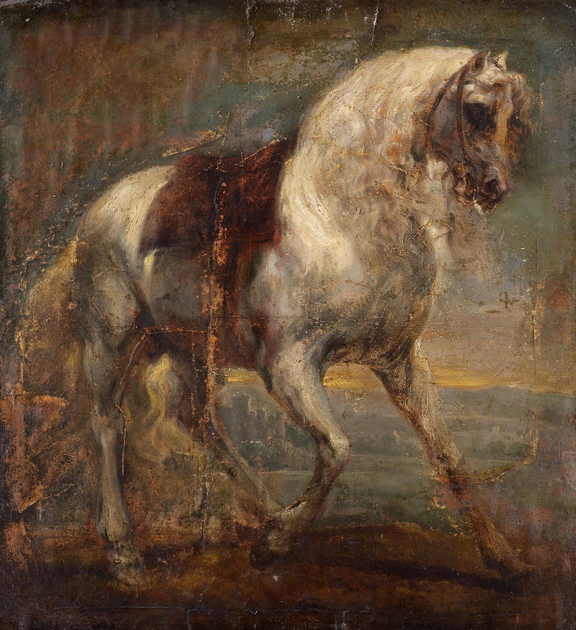 En grå häst av Anthony van Dyck