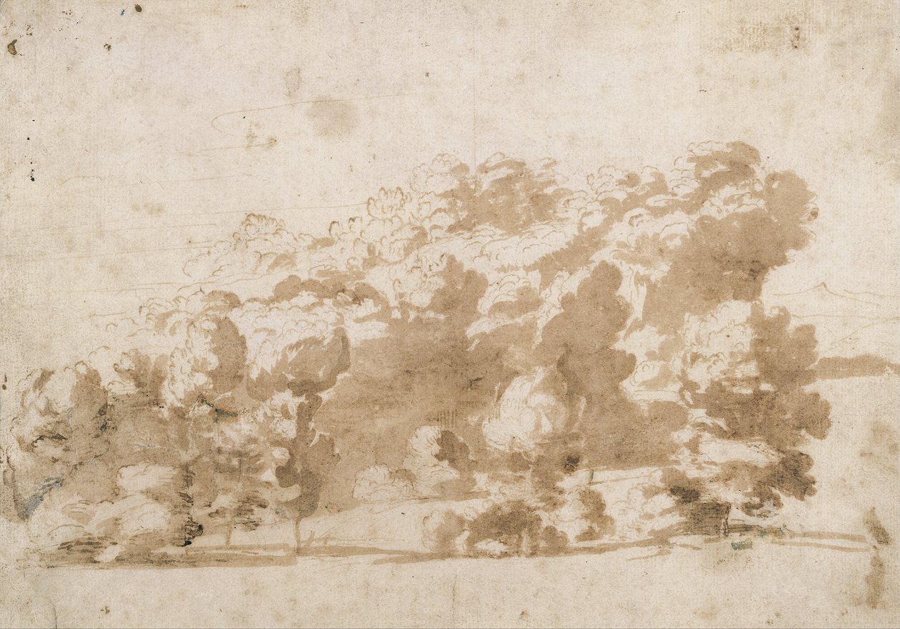 En skogbevuxen ås av Anthony van Dyck
