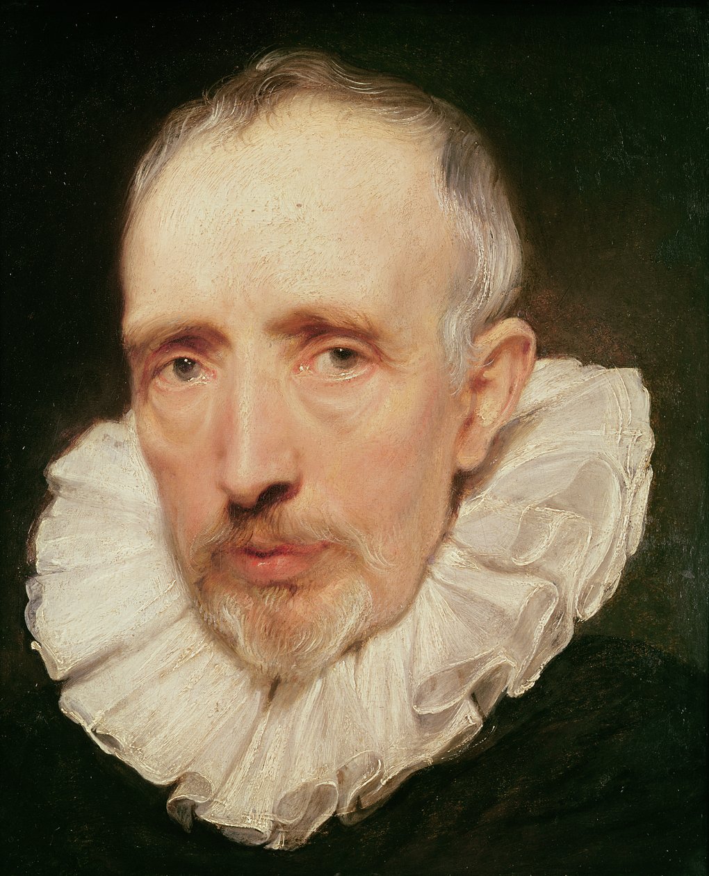 Porträtt av Cornelis van der Geest, ca 1620 (olja på ek) av Anthony van Dyck