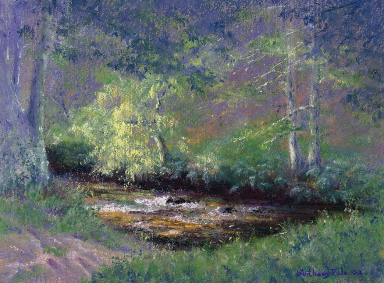 Forest Stream, 2002 av Anthony Rule