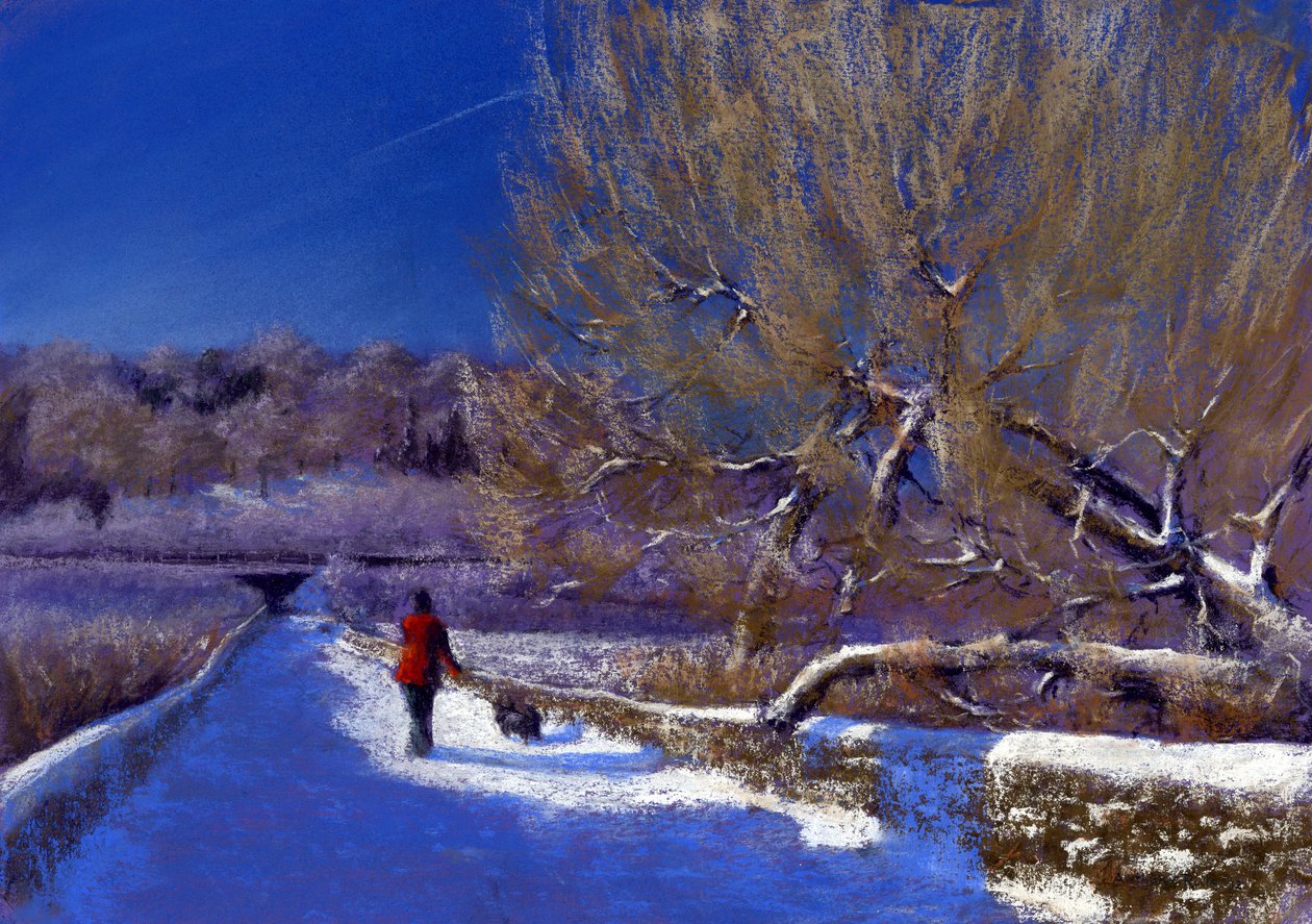 Vinterpromenad, 2012 av Anthony Rule