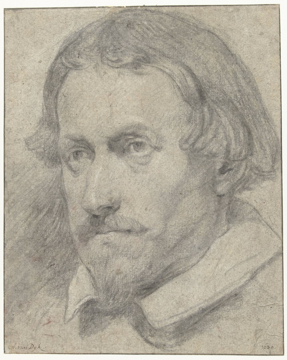 Manskop av Anthony van Dyck (possibly)