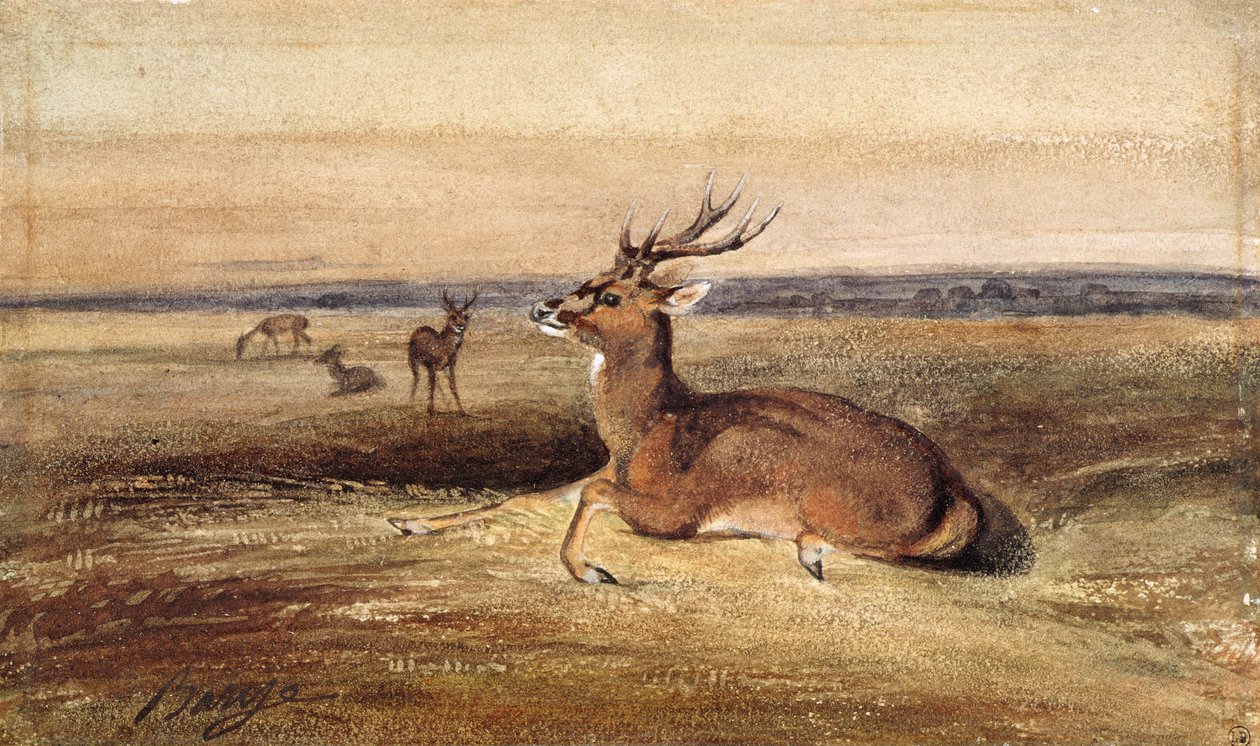 Vilande rådjur av Antoine Louis Barye