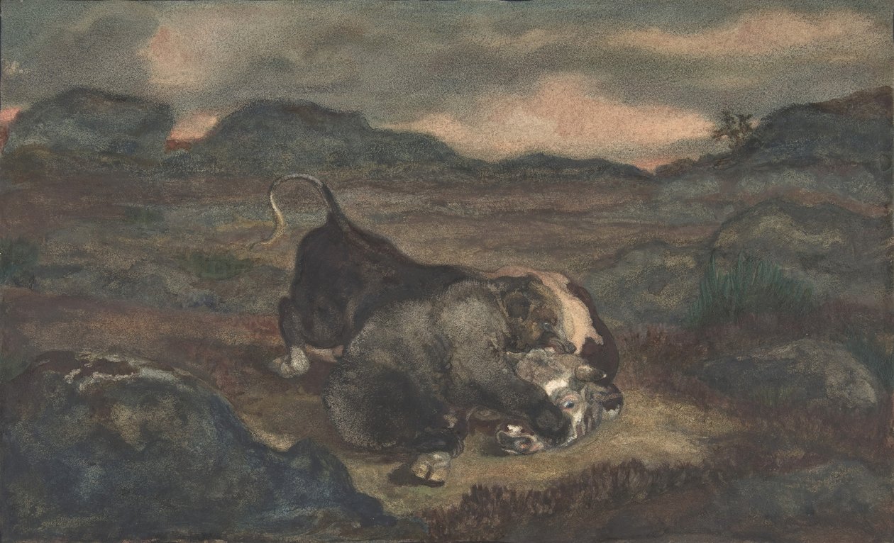 Björndödande tjur, 1810-75. av Antoine Louis Barye