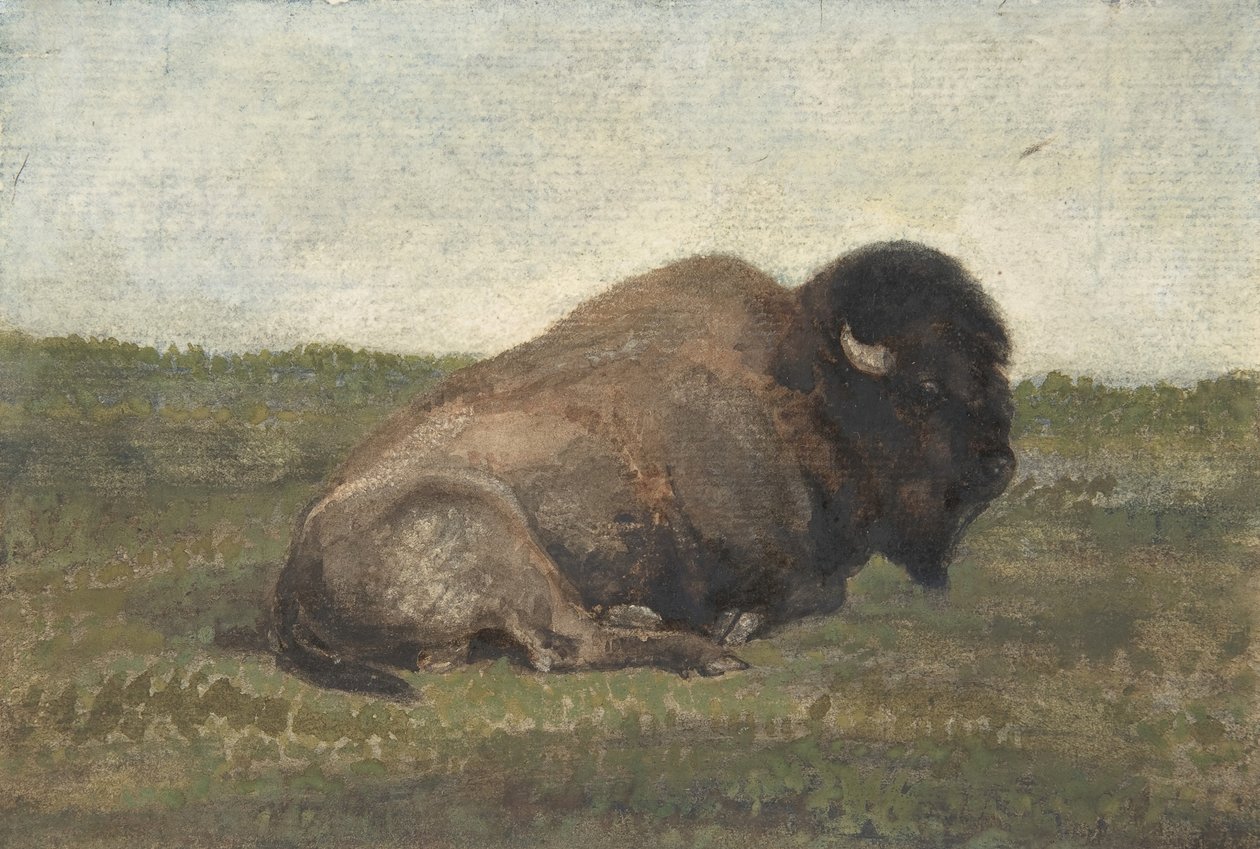 Bison liggande, 1810-75. av Antoine Louis Barye