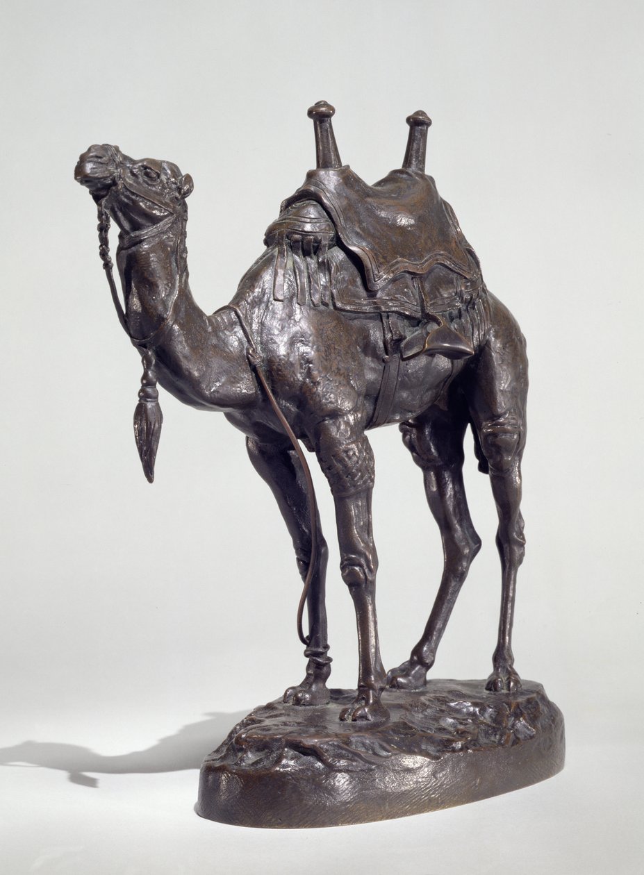 Egyptisk dromedär med sele (brons) av Antoine Louis Barye