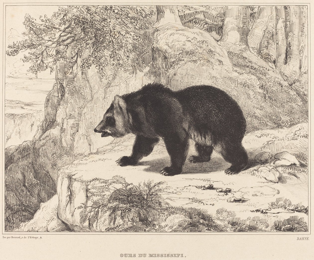 Mississippibjörn, 1836. av Antoine Louis Barye