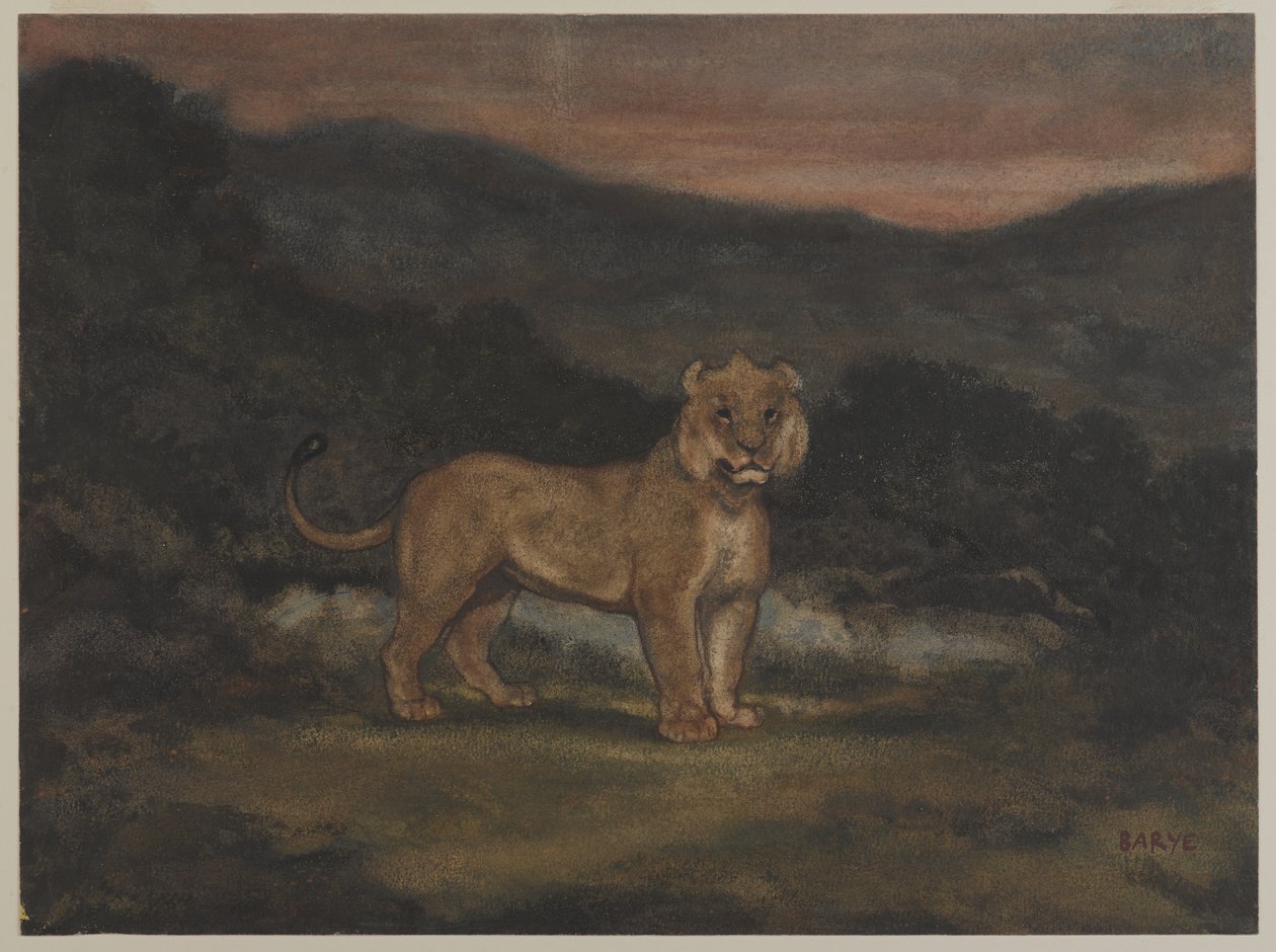 Stående lejoninna (wc på papper) av Antoine Louis Barye