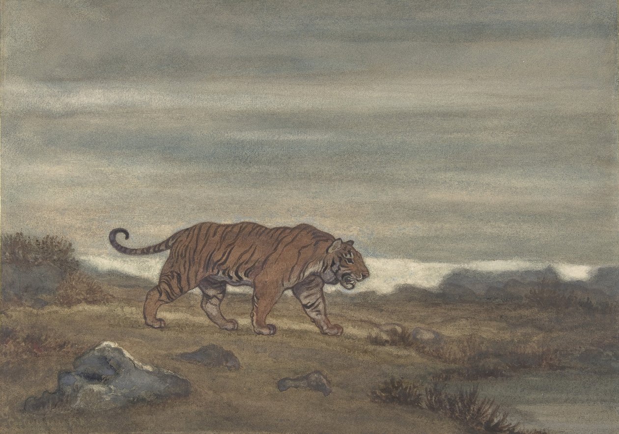 Tigern närmar sig poolen, 1810-75. av Antoine Louis Barye