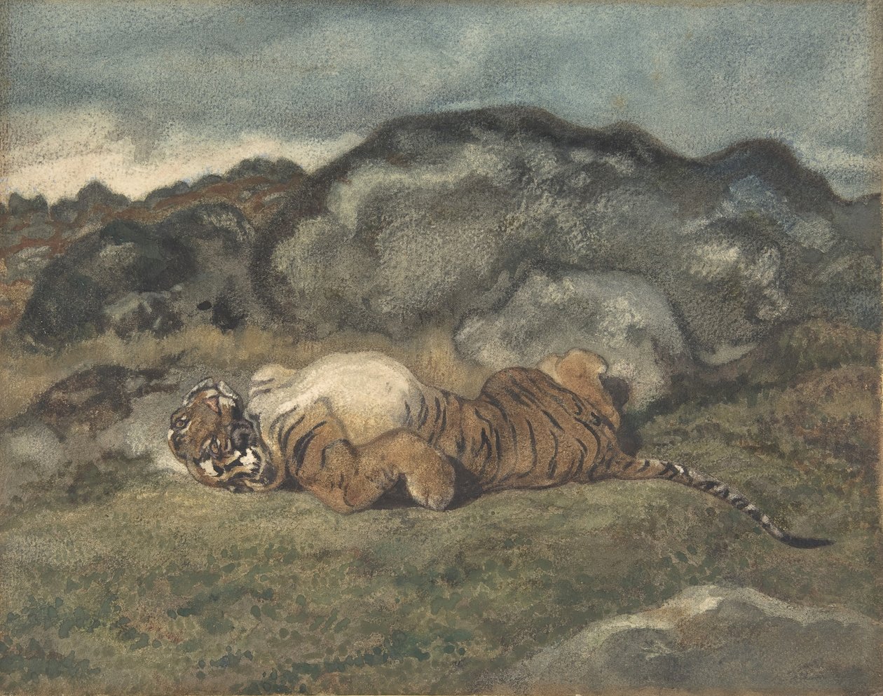 Tiger som rullar på ryggen, 1810-75. av Antoine Louis Barye