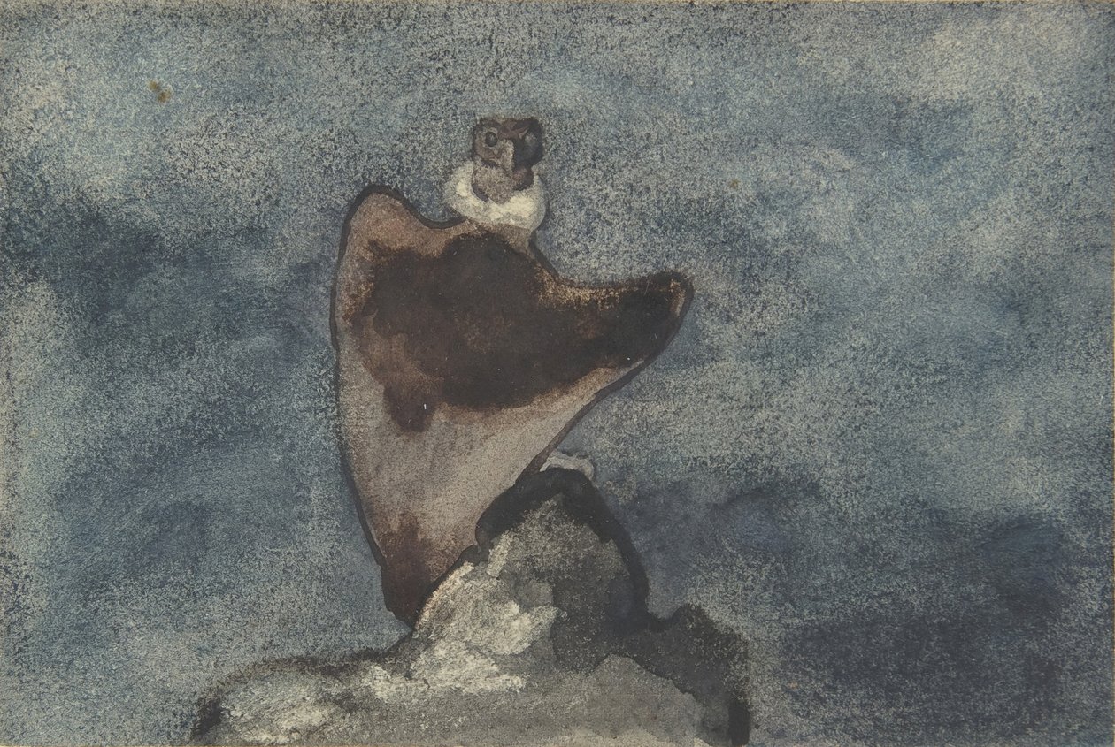 Vulture, 1810-75. av Antoine Louis Barye