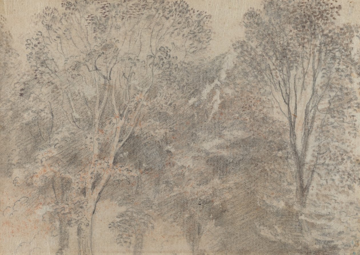 Trädtoppar [verso] av Antoine Watteau