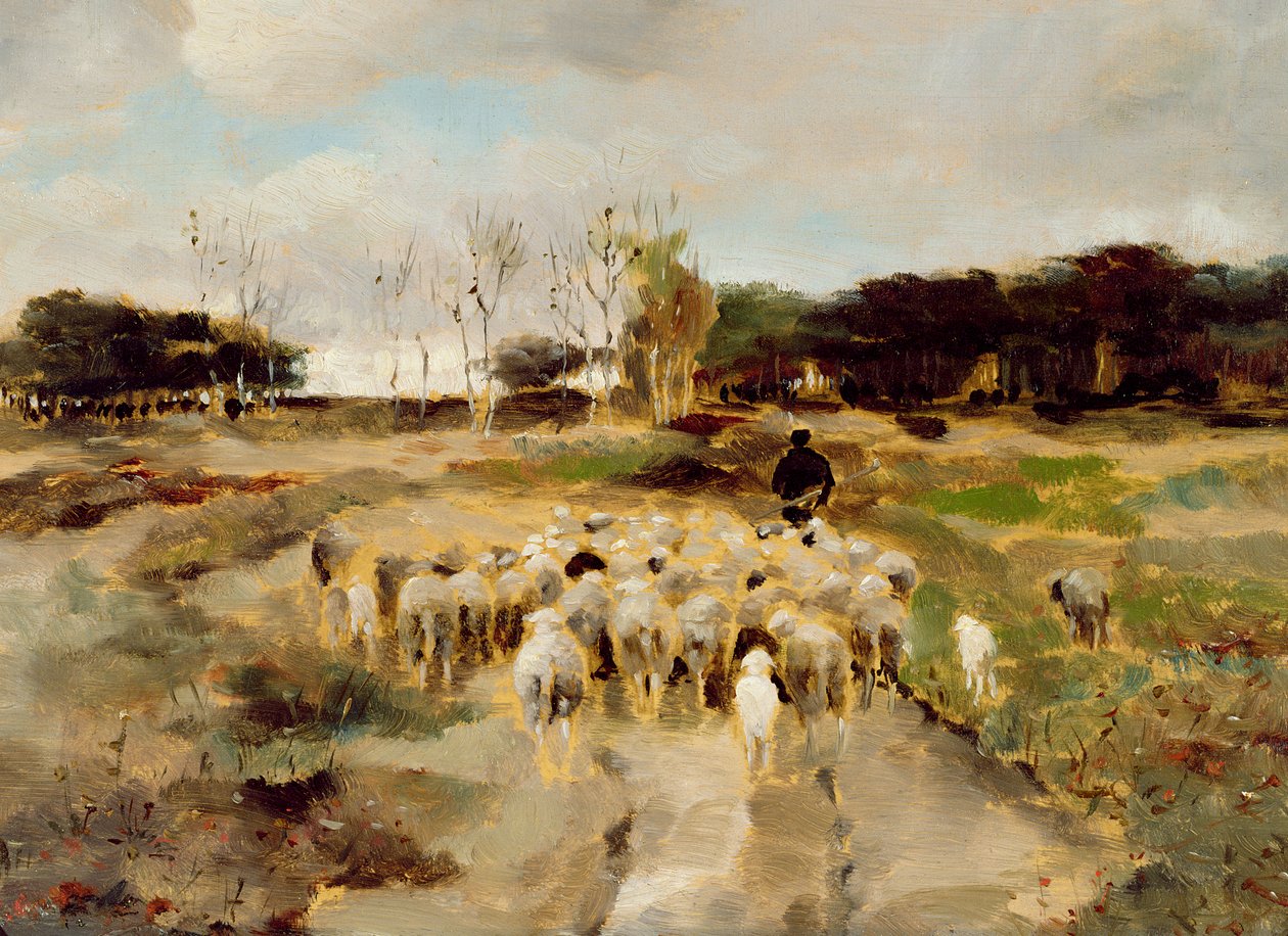 Fårflock (olja på papper) av Anton Mauve