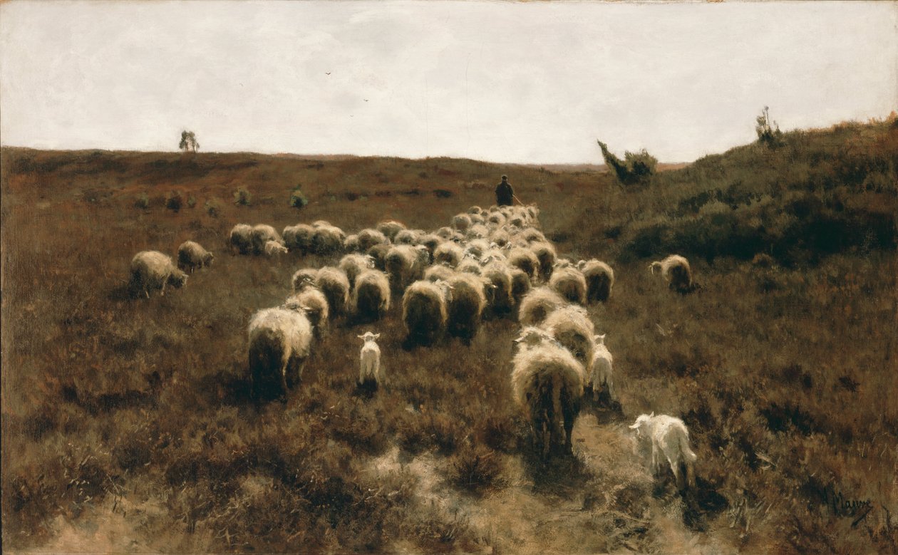 Flockens återkomst, Laren av Anton Mauve