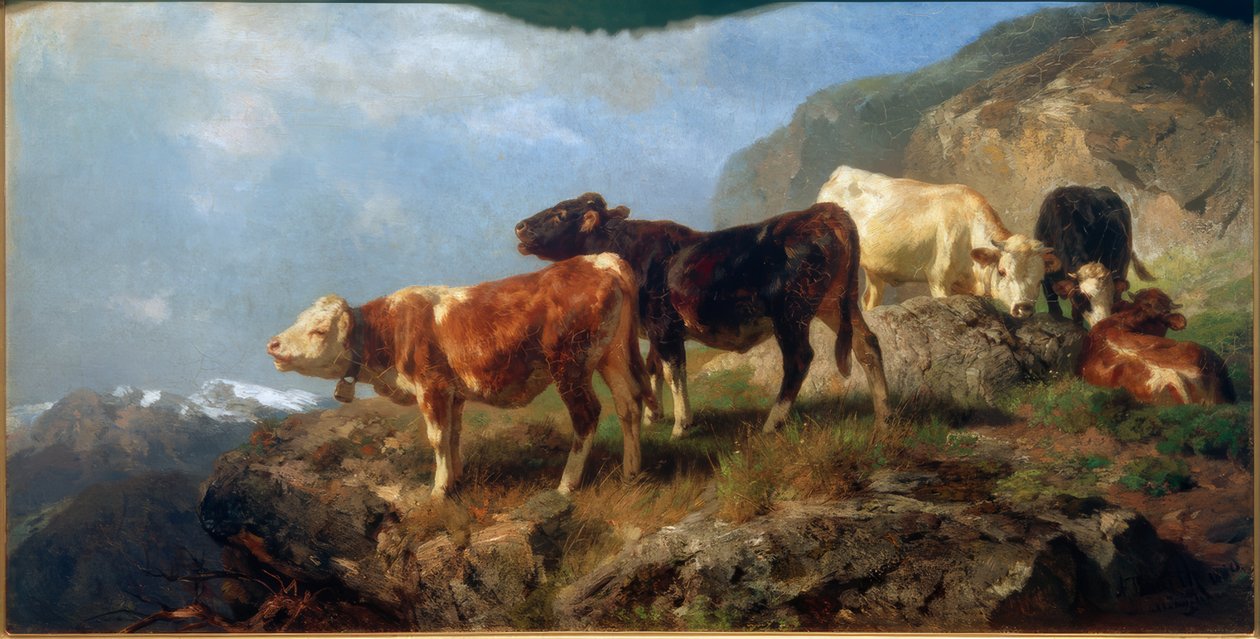 Boskap i de höga bergen av Anton Braith
