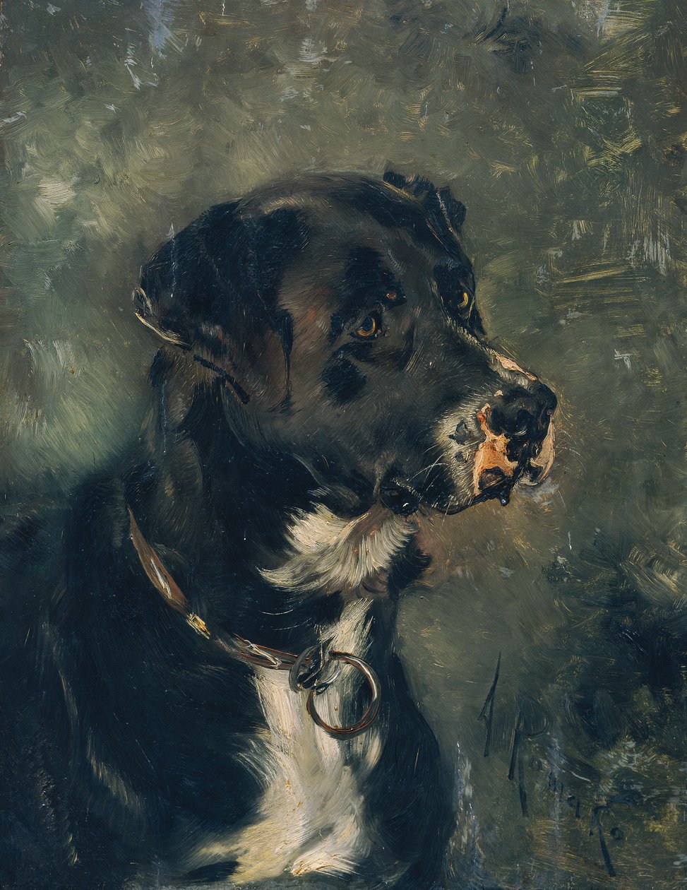 Huvud av en slaktarhund av Anton Romako