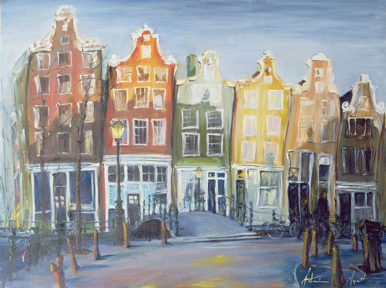 Houses of Amsterdam, 1999 av Antonia Myatt