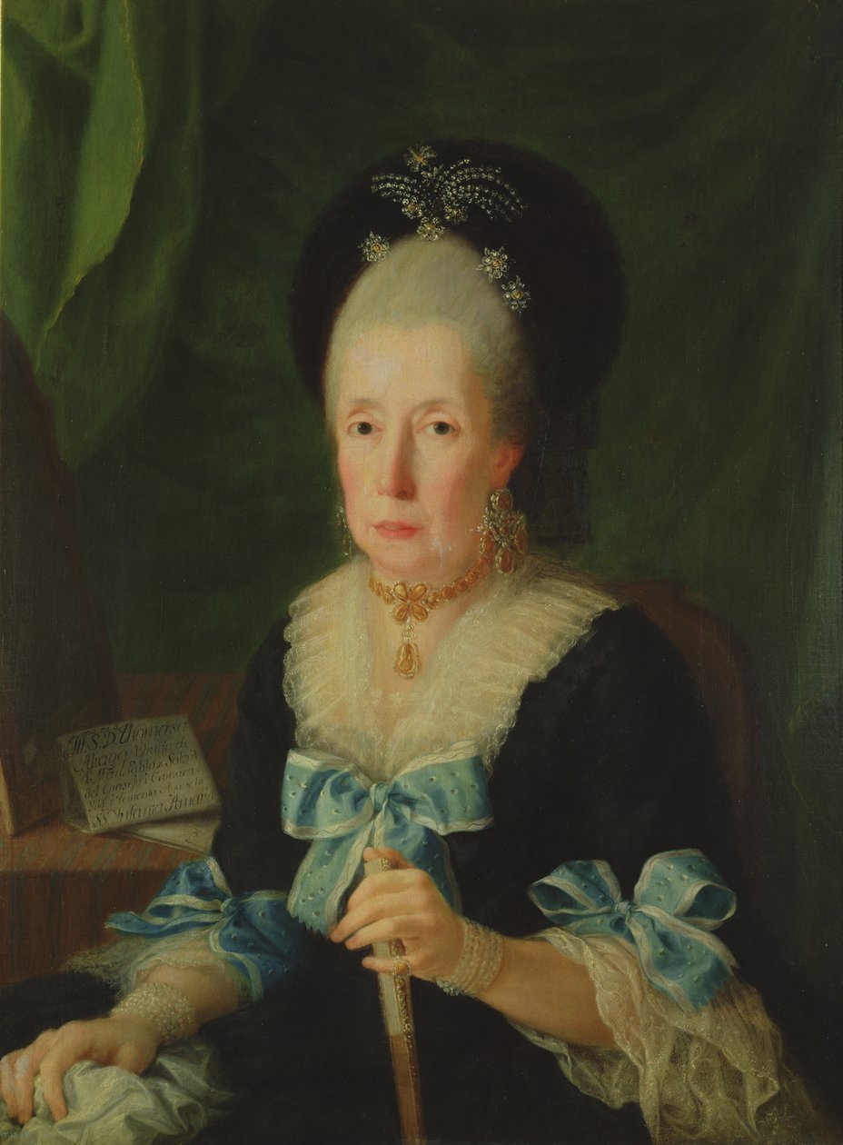 Dona Tomasa de Aliga (olja) av Antonio Carnicero