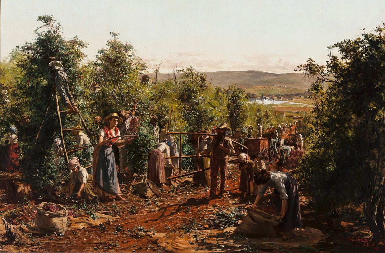  A colheita, Fazenda Santa Gertrudes - Araras, SPn av Antonio Ferrigno