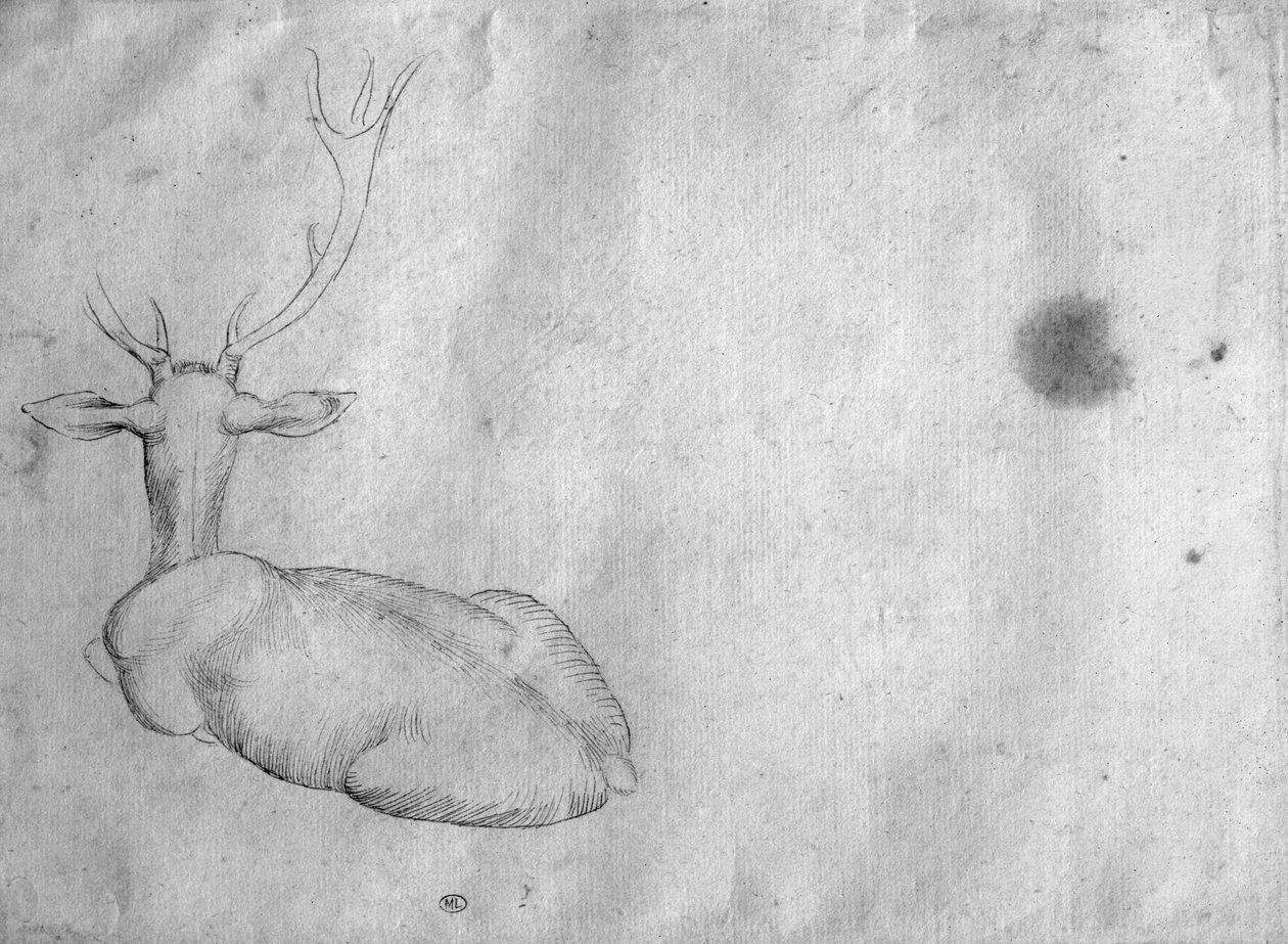 Vilande hjort, sedd bakifrån, från The Vallardi Album av Antonio Pisanello