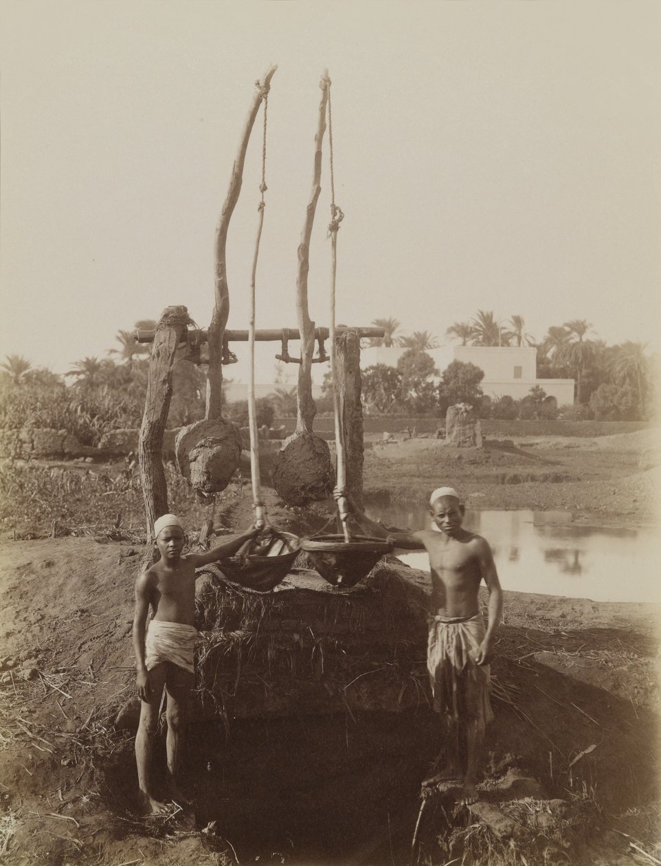 Sehadouf, Luxor av Antonio Beato