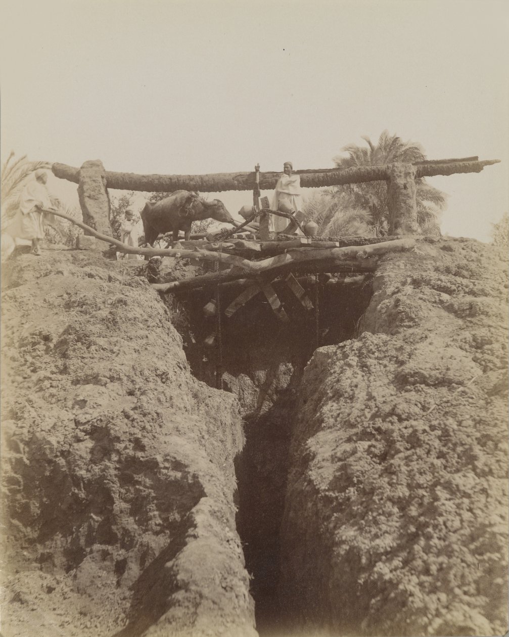 Sehaquieh, Egypten av Antonio Beato