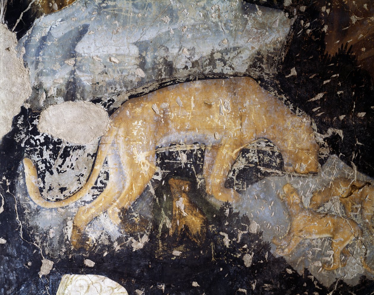 Hund, detalj (fresk) av Antonio Pisanello