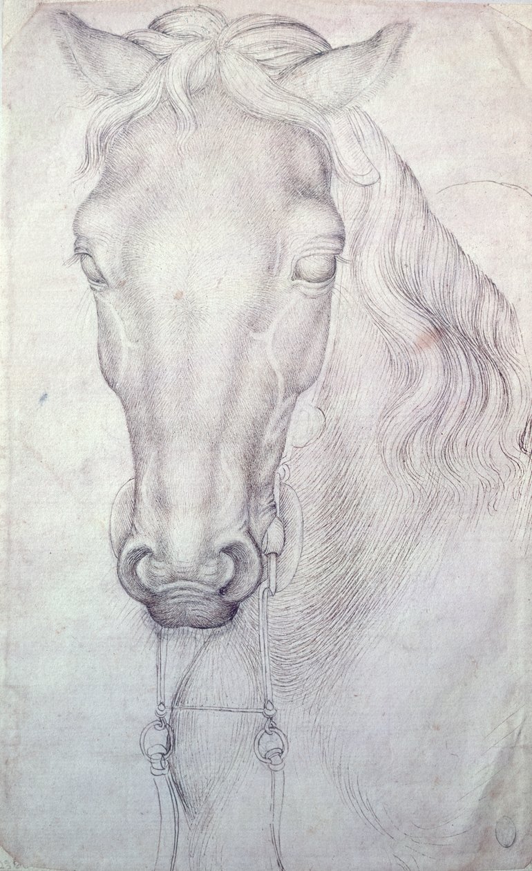 Huvud av en häst av Antonio Pisanello