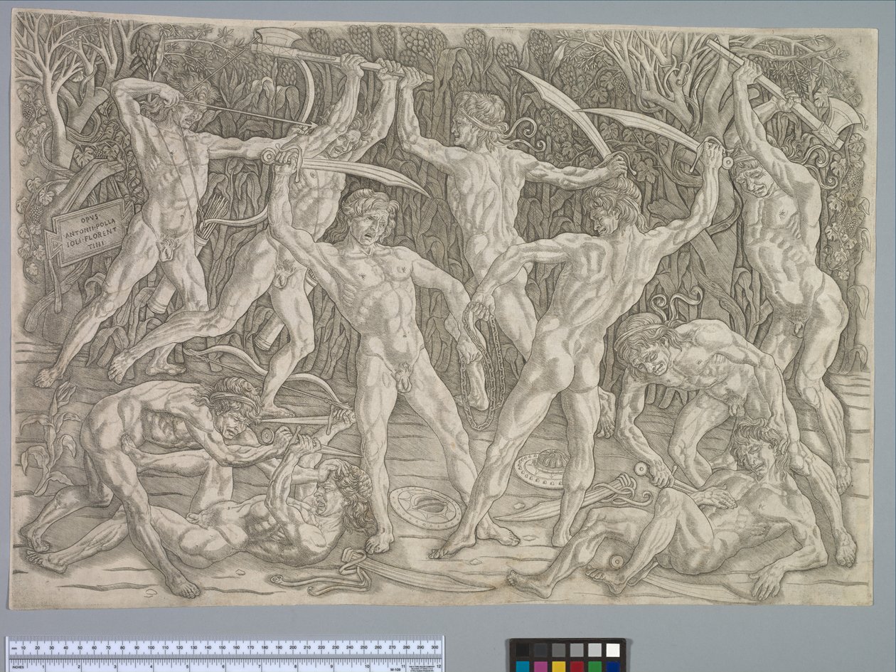 Battle of the Nudes, c.1475 av Antonio Pollaiuolo