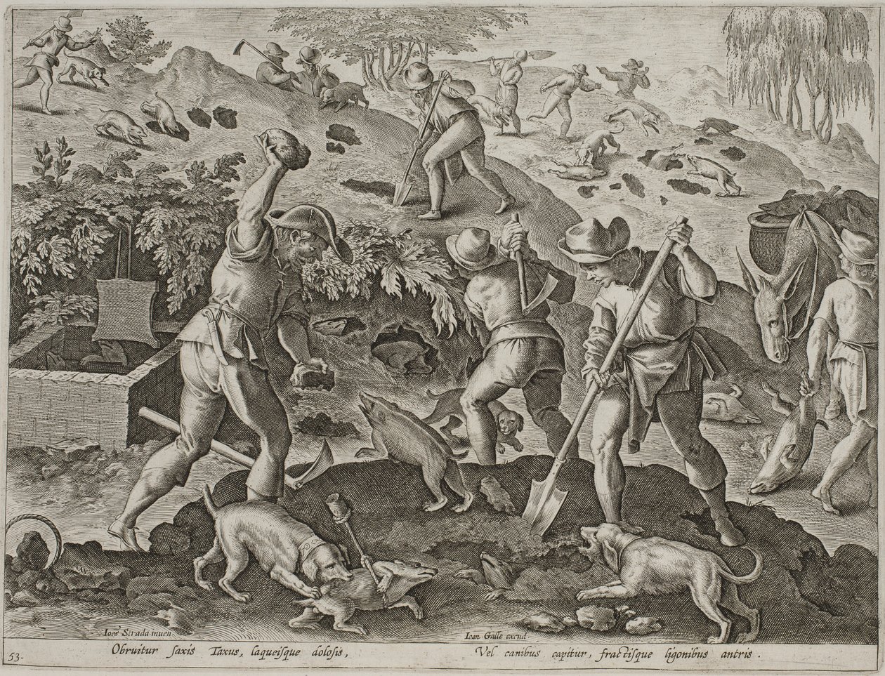 Grävlingsjakt av Antonius Wierix
