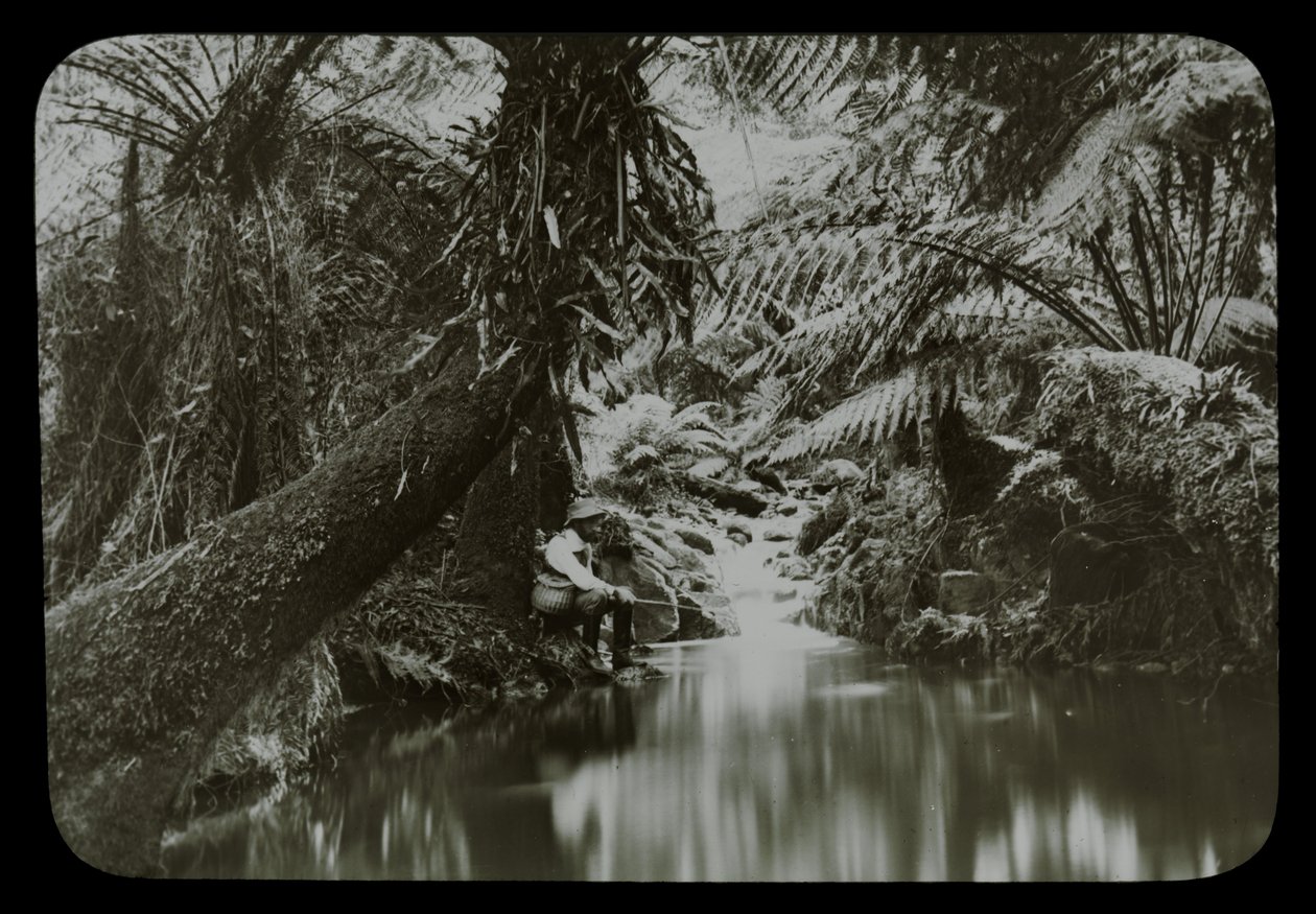 Fiskepool, Sassafras Gully av Archibald James Campbell