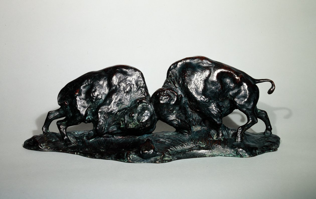 Two Fighting Buffalo, 1900 (brons) av Arthur Putnam