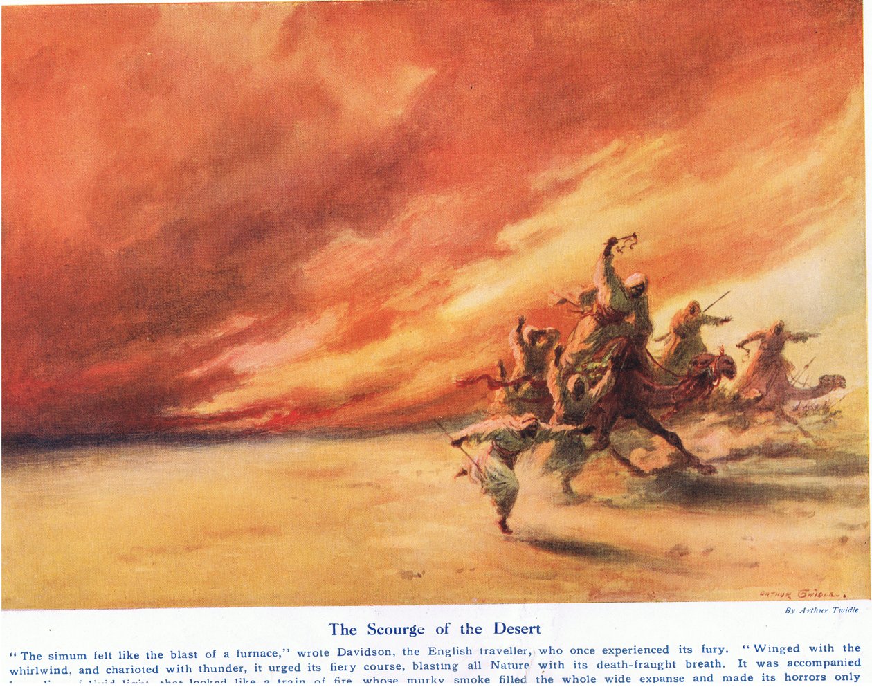 The Scourge of the Desert, illustration från "Wonders of Land and Sea", publicerad av Cassell, London, 1914 av Arthur Twidle