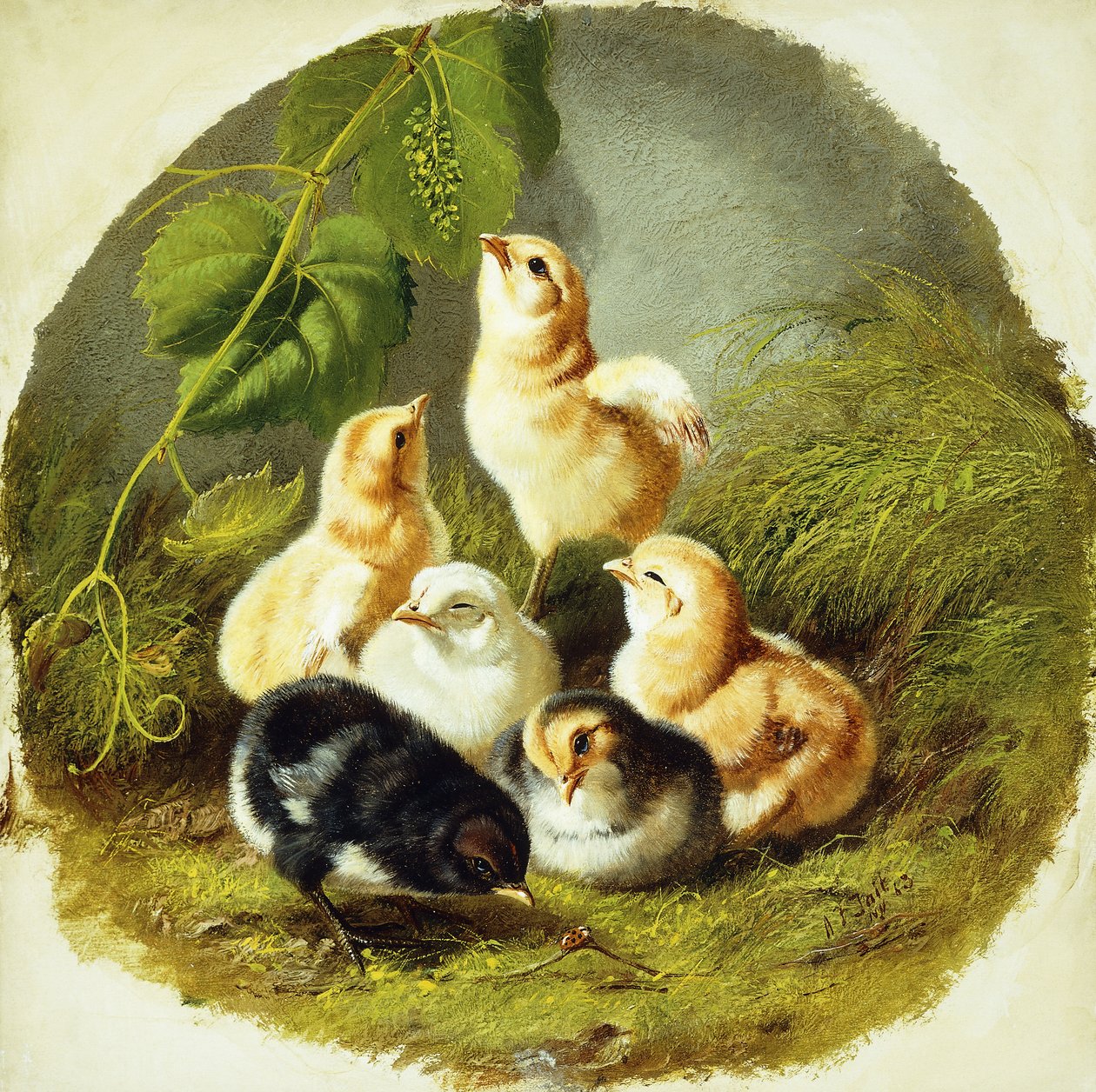 Kycklingar, 1863 av Arthur Fitzwilliam Tait
