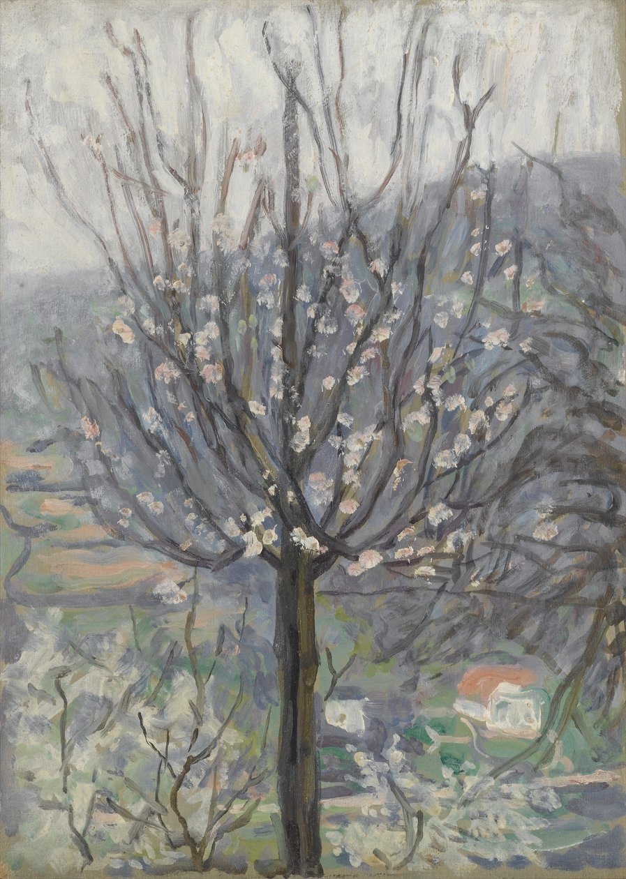Blossom, tidig morgon av Arthur Haythorne Studd