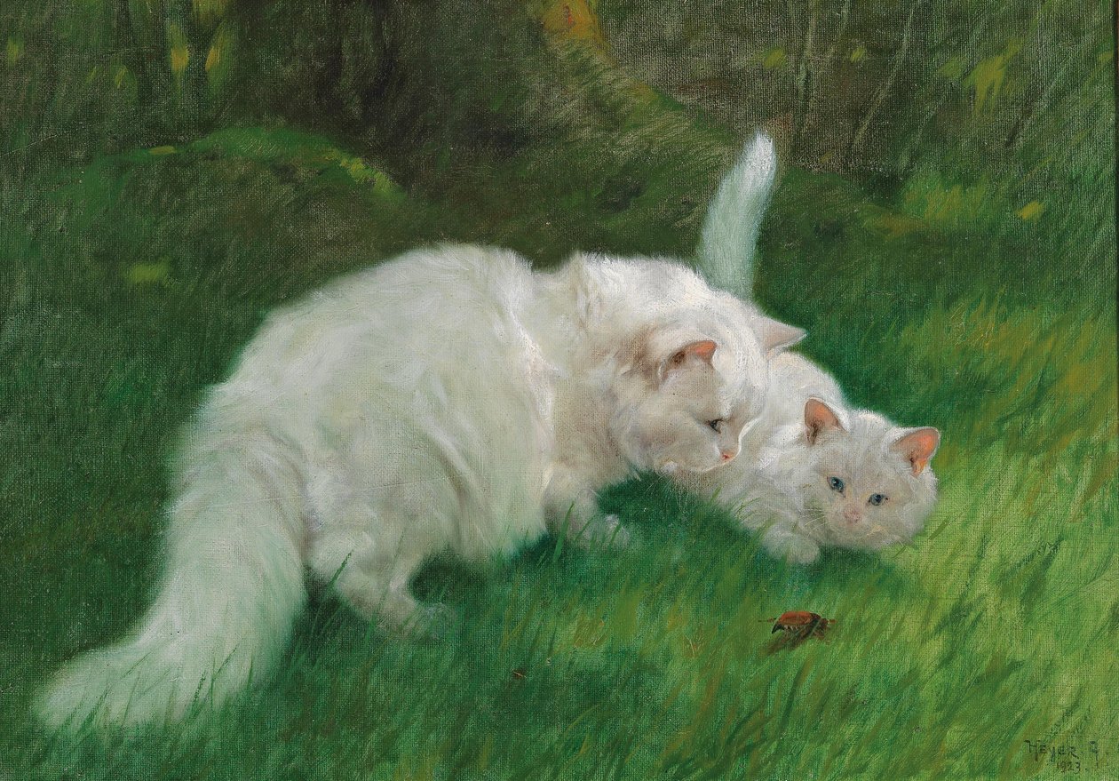 Arthur Heyer Intressant upptäckt 1923 av Arthur Heyer