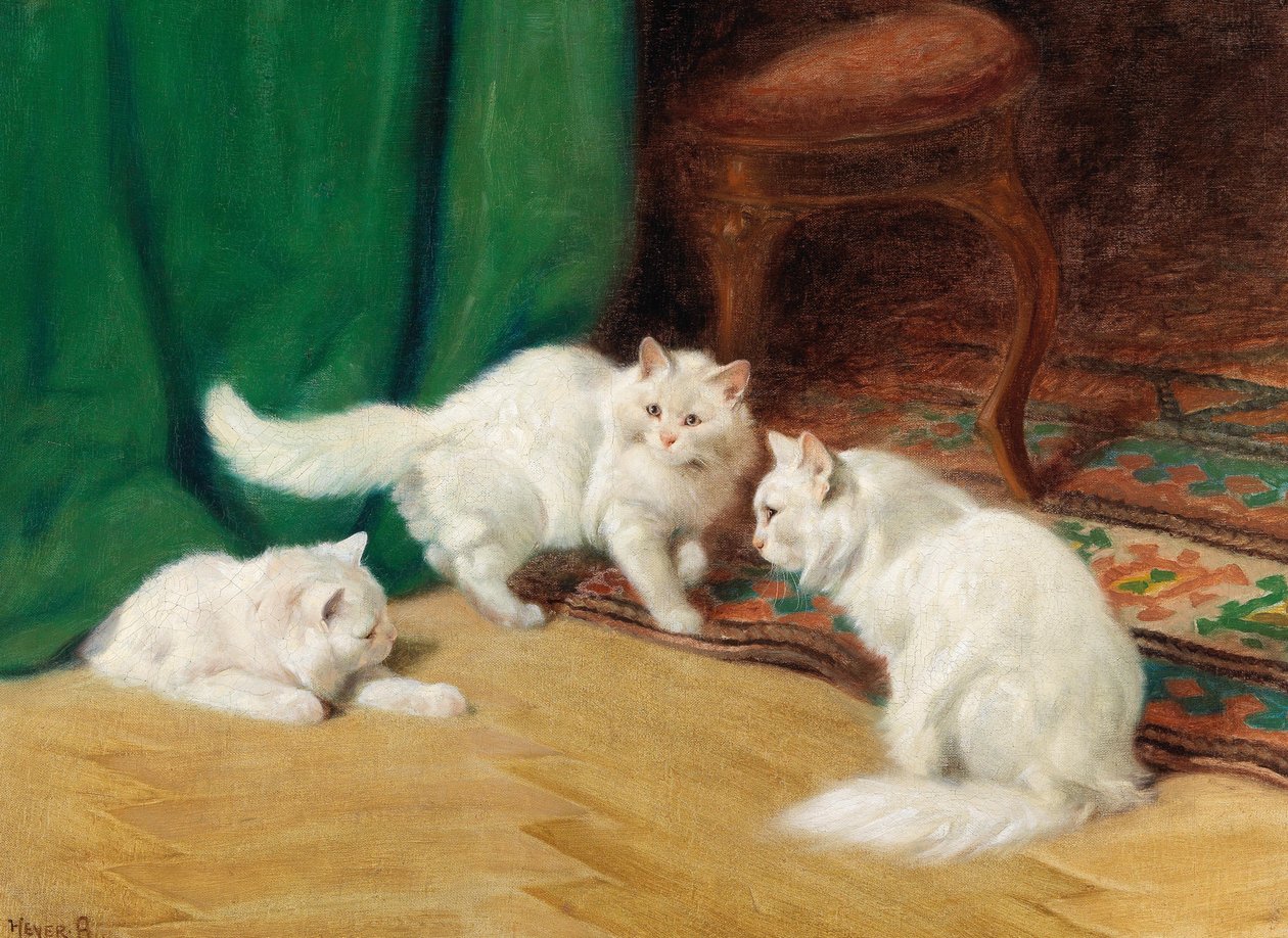 Konversation mellan katter, av Arthur Heyer