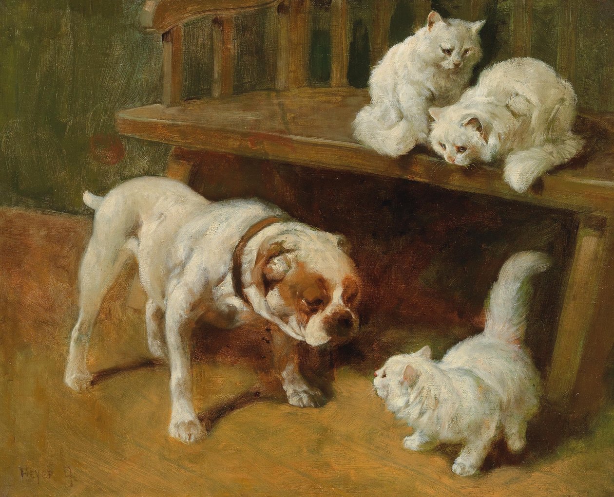 Hund och katt av Arthur Heyer