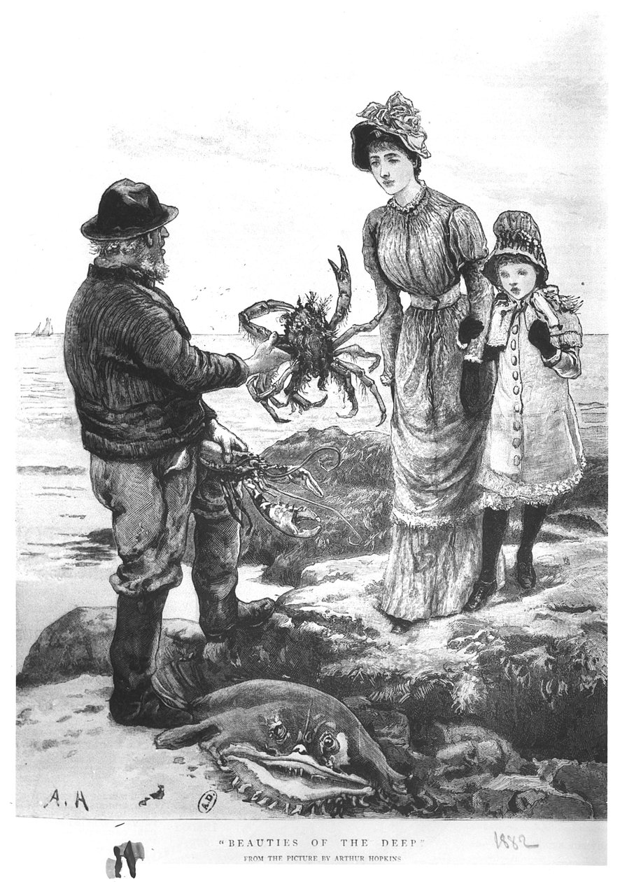 "Djupets skönheter", 1882 av Arthur Hopkins
